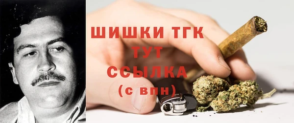 прущий лед Алексин