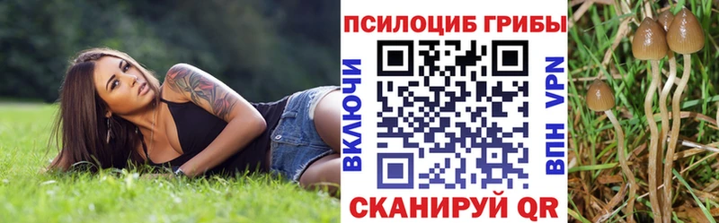 даркнет состав  Первоуральск  Галлюциногенные грибы GOLDEN TEACHER 